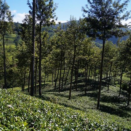 Oyo 238 Selva'S Guest House 努沃勒埃利耶 外观 照片