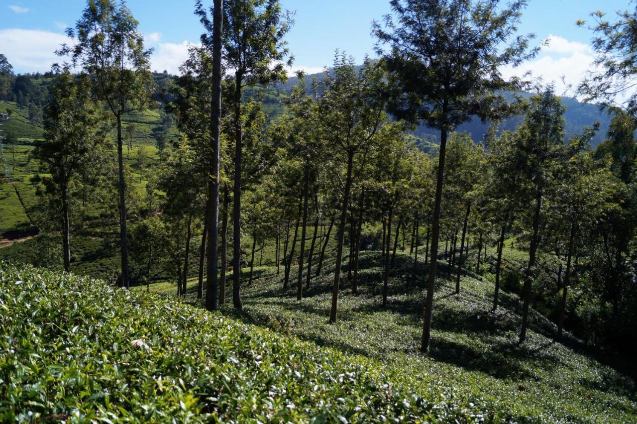Oyo 238 Selva'S Guest House 努沃勒埃利耶 外观 照片
